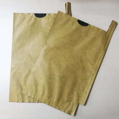 China BIODEGRADABLE Mango Paper Bag / Mango Pad Bag / Fruit Pad Bags for sale