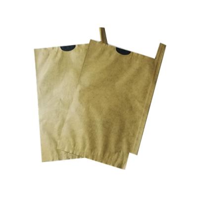 China Fruit Growing Protection BIODEGRADABLE Paper Bag For Mango Guava Grape for sale