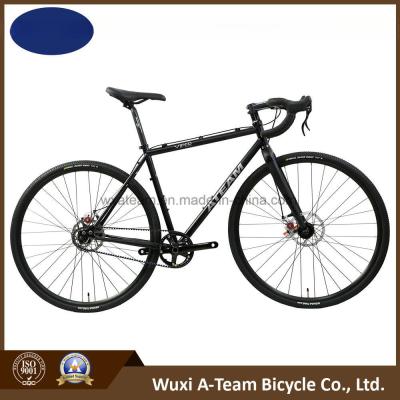 China 700c Sscx Belt Drive Bike /Crmoly Single Speed Bike (CX3) for sale