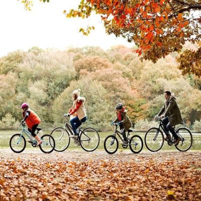 China Mejor venta de bicicletas urbanas de la ciudad, fábrica de China en venta