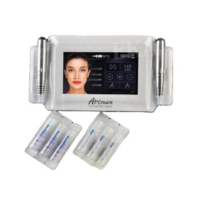 China Permanent Makeup Anti-Puffiness PMU MTS System Tattoo Eyebrow Lip Permanent 2 in 1 Microneeding Tattoo Machine for sale