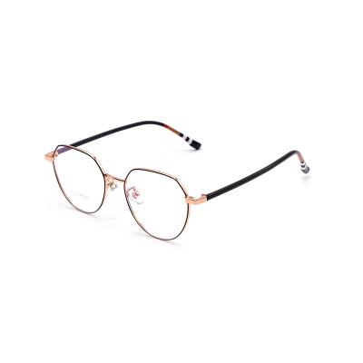 China 2021 New Styles Large Lightweight Eyeglass Frames Frames For Women Eyewear for sale