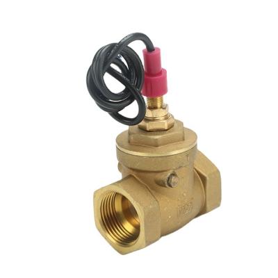 China Widely Used Top Brass Type Water Flow Quality DC250V 0.3A Brass Bulkhead Switch for sale