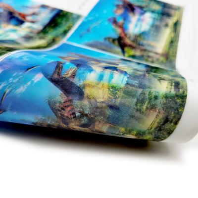 China Fabric Wholesale High Quality Lenticular 3D Heat Transfer Labels Stickers For Clothing for sale