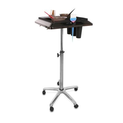 China New Hair Salon Equipment T0182 Portable Adjustable Hair Extension Stand for sale