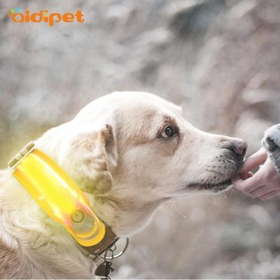 China 2022 Dog Accessories Lights Up Collar Cover Spandex Pet Collar And Leash Cover Connectable Led Light for sale