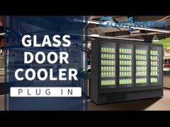 Glass Door Beverage Display Fridge Plug In Automatic Defrosting Glass Door Cooler For Beverage