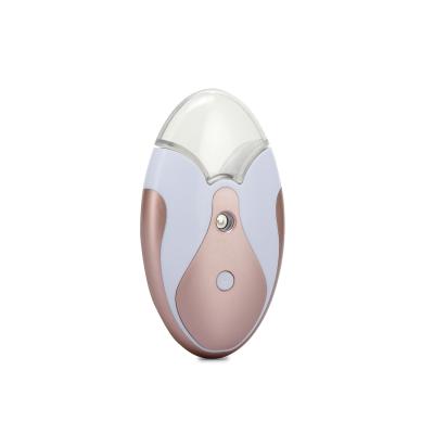 China Eterwin Vaporizer Custom Logo Electric Facial Spa Face Steamer Hot Nano Mist Jet 13ml for sale