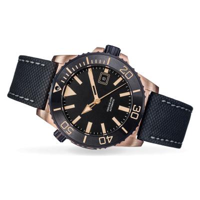 China Date OEM 10m Water Resistant Sapphire Crystal Super Luminous Automatic Mechanical Men's Automatic Diver Watch for sale