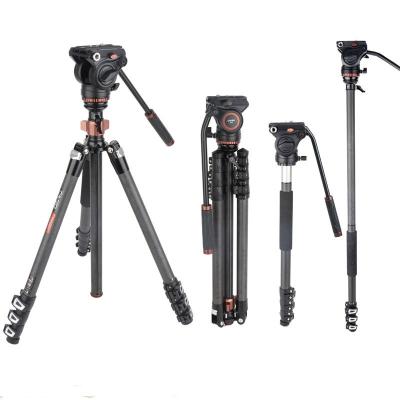 China Professional Video Camera Cayer CF2451H4 Video Camera Tripods Carbon Photographic Equipment For Camera Carbon Fiber 1455MM 18.5MM for sale