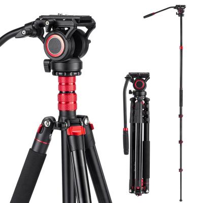 China Cayer New Arrival PORTABLE Multiple Function Lightweight Aluminum Professional Video Camera Tripod Stand With Liquid Head Video Holder for sale