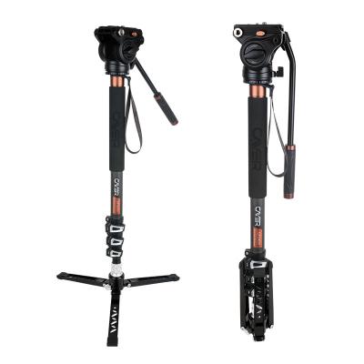 China Photographic equipment monopod dslr Cayer CF34DVH4 carbon fiber extendable monopod for sale