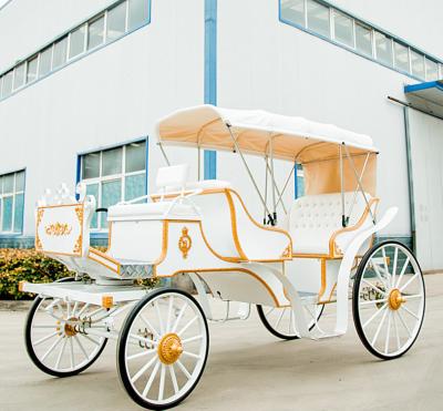 China Good Quality Exhibition Horse Carriage /Sightseeing Horse Sightseeing Cart For Sale for sale