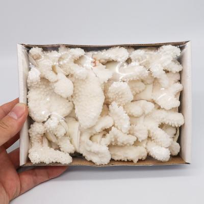 China Wholesale Europe Natural Raw Quartz Rock Crystal Stones Coral Specimen Set For Gift white for sale