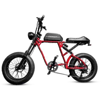 China Fat tire mountain bike steel electric mountain bike cool off-road electric bicycle can be ridden by human for sale