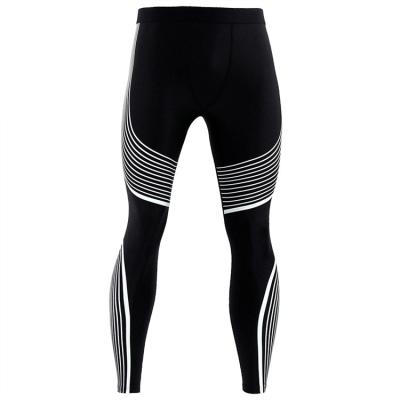 China Breathable Men And Women Gym Sports Wear Workout Fitness Pants Long Leg Warmers Quick Dry Tights for sale