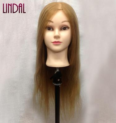 China Hair cut cosmetology female head LINDAL hairhead hairdressing training head mannequin natural hair, forming head hairstyle for sale