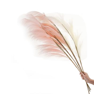 China Wholesale Fake Snag Maker Hanyu Reed Pampas Grass Central Institute of Statistics Artificial Flower Home Decoration Wedding Flowers for sale