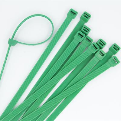 China Reverse Teeth Guaranteed Quality Appropriate Price Supplier Self-Locking Cable Tie for sale