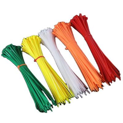 China Reverse Teeth Guaranteed Quality Unique Durable Ties Self-Locking Cable Tie Locking Nylon for sale