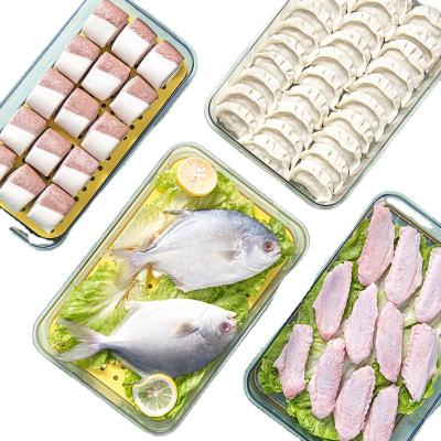 China Clear Multilayer Kitchen Refrigerator Dumpling Timing Storage Box Food-Rated Household Dumpling Material Organizer for sale