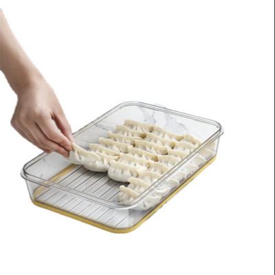 China Clear Multilayer Kitchen Refrigerator Dumpling Timing Box Food-Rated Household Dumpling Material Fresh Keeper Organizer for sale