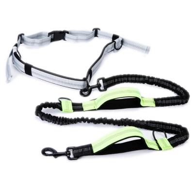 China Padded Hands Free Reflective Retractable Bungee Dog Leash And Collar One Set For Running for sale