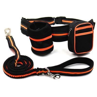 China Padded Hands Free Running Dog Leash, Durable Bungee Dog Leash, Thoughtful Size Dog Leash for sale