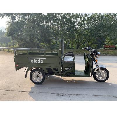 China Big Space Cargo AERA-T424 Box 3 Wheeler Farm Load Motorized Tricycles Electric Cargo Tricycle For Sale for sale