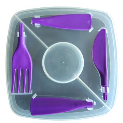 China plastic food container lunch box with spoon and fork / plastic meal box with knife and fork mold for sale