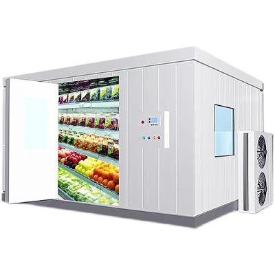 China Professional Customized Marine Food Fish Container Meat Freezing And Refrigerating Cold Storage Equipment for sale