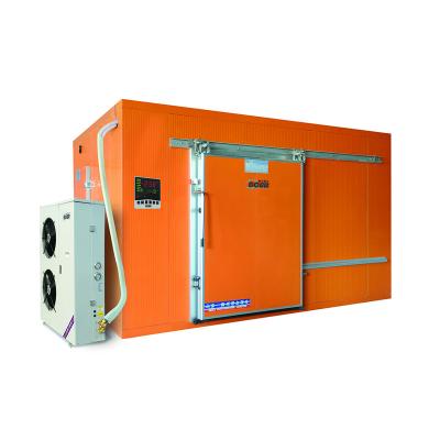 China Cooling System High Quality Cold Storage Cabinet Container Cold Storage Container Movable Room for sale