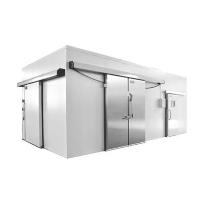 China Factory Sales Container Custom Mobile Cold Storage Hinged Door Walk-In Cold Room for sale