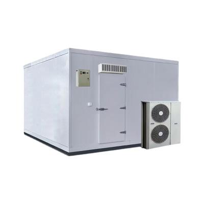 China High Efficiency Custom Freezer Room Panel PU Room Container Refrigeration Refrigeration Unit Walk-in Cold Room for sale