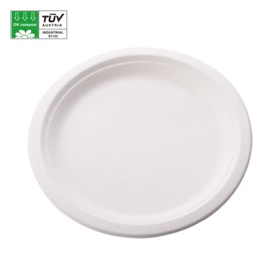 China Disposable Bagasse Sugarcane Disposable Biodegradable Dish For Wedding for sale