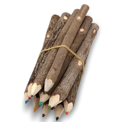 China Matita Rainbow Colored High Quality Raw Wood Twig Wooden Pencil Lead Customized Eco Friendly Promotional Pencil Set for sale