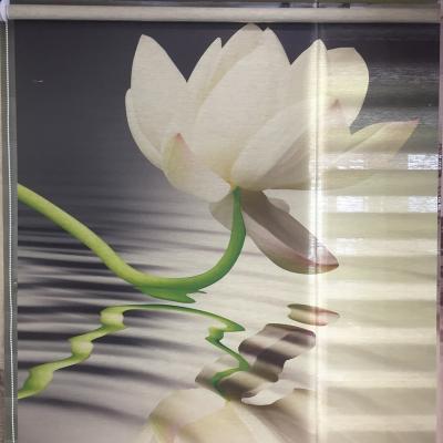 China Traditional Haoyan High Quality 3D Printing  Roller Blinds With Custom Made for sale