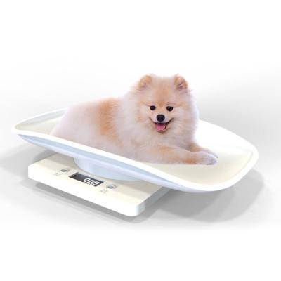 China ABS 10kg Capacity Used Digital Pet Scales Electronic Animal Livestock Platform Pet Scales For Cat Dog for sale