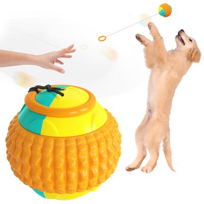 China New ABS+TPR Pet Designed Dog Chew Toy Throwing Toy Balls for sale