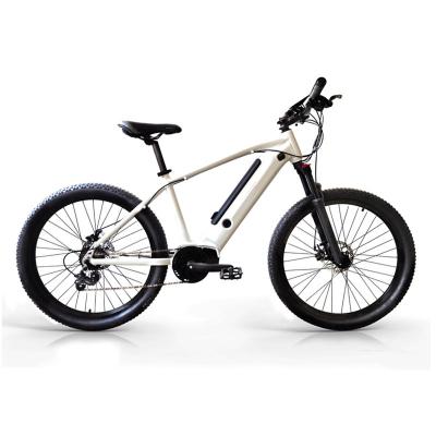 China Aluminum Alloy E Bikes 2022 Electric Bicycle Fat Tire Mountain Bike Sports Electric Mountain Bike 26 Inch for sale