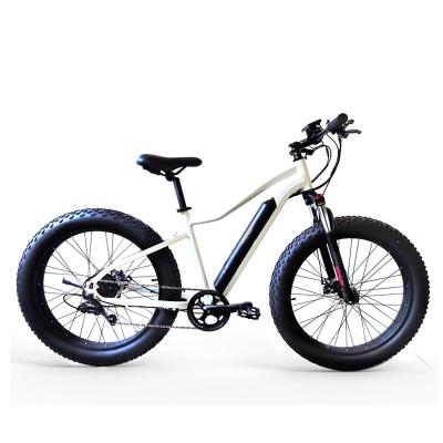 China Latest Design Lightweight Modern Fashion Electric Bicycle 26 Inch Fat Tire Folding Electric Bicycle for sale