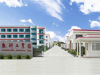 Verified China supplier - Yancheng Dragonpower Electric Co., Ltd.