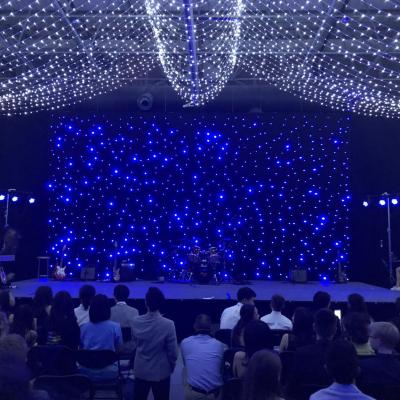 China Romantic And Productive Theme Park Hot Sales And Stage Show Party Led Portable Star Wedding Curtain for sale