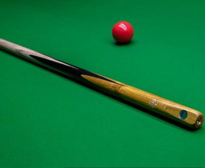 China Professional ebony wood cue stick with 8.5/10mm cue tip size one piece handmade billiard cue stick for sale