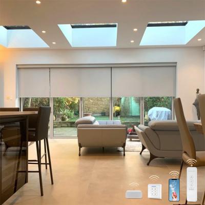 China Modern Professional Manufacturer Customizable Office Electric Motorized Roller Blinds For Window for sale