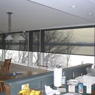 China Modern Design OEM ODM Electric Blackout Motorized Roller Blinds For Windows for sale