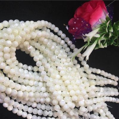 China Shell Beads 4~8mm Snail Direct Selling DIY Jewelry Factory Pendant Accessories Natural Horseshoe Necklace DIY Dress Accessory for sale