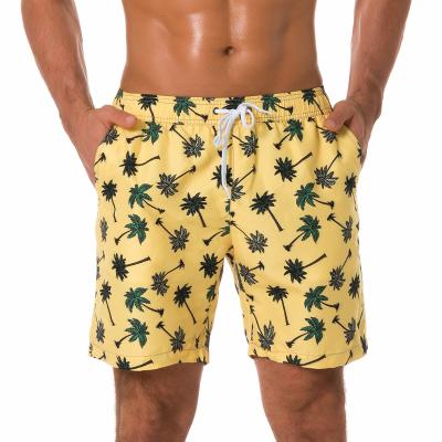 China Anti-Wrinkle Anti-Wrinkle Summer Fashion Polyester Leisure Quick Dry Men's Beach Shorts Sports Pants For OEM ODM Wholesale for sale