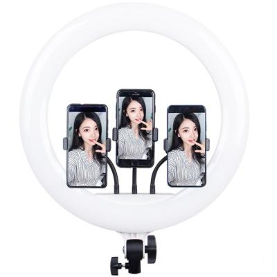 China Portable 14 Colors Remote Control With Tripod Stand 10 Inch LED Ring Light RGB DK-555 for sale