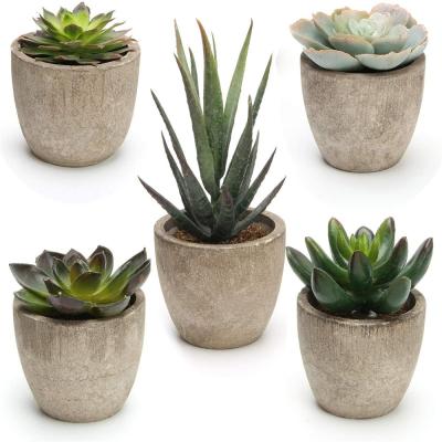 China Festival Decoration Artificial Succulent Cactus Plants Potted Assorted For Living Room Office Decoration for sale